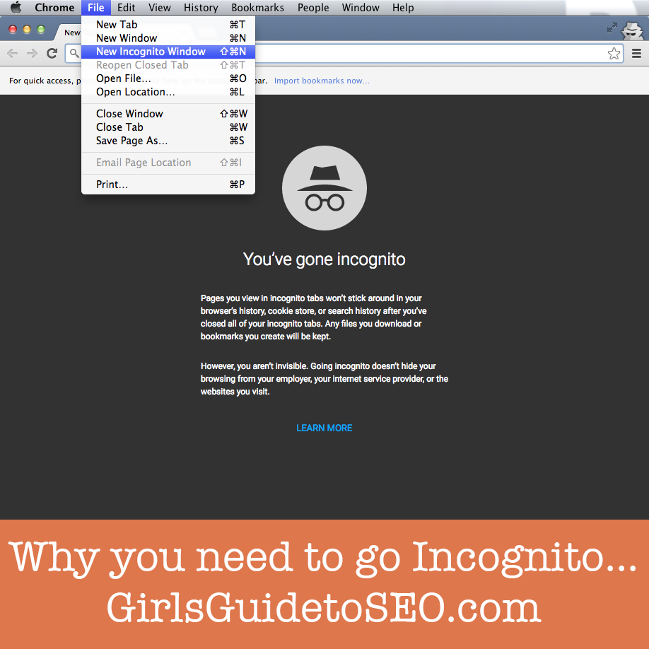 incognito_seo_tracking_progress_girls_guide_to_seo