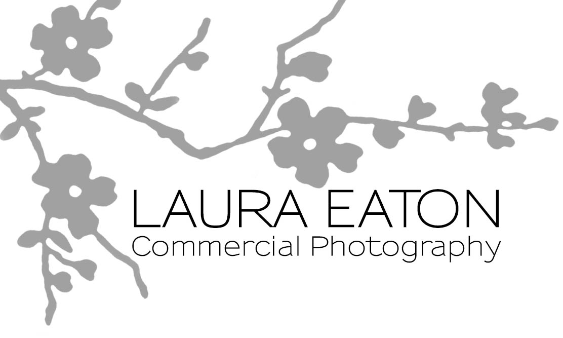 philadephia headshot photography expert laura eaton
